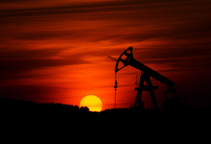 "Деликатные переговоры": ФРГ ищет поставщика нефти после отказа от российского топлива