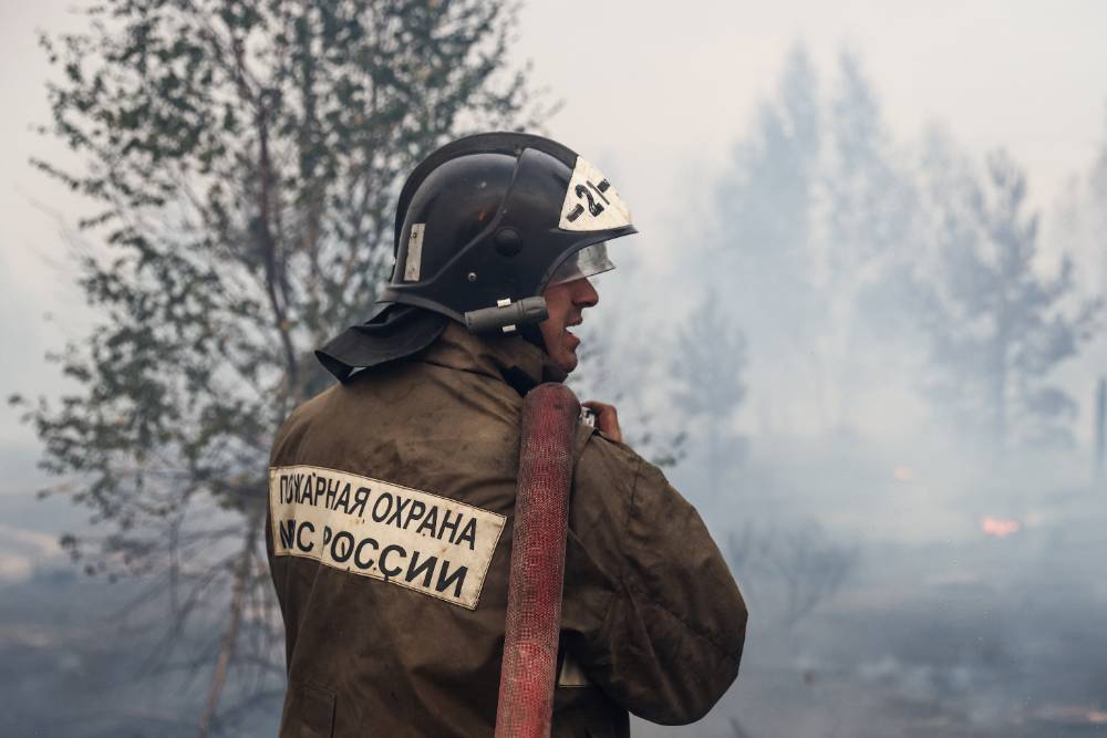 В Рязанской области ввели режим ЧС из-за лесных пожаров