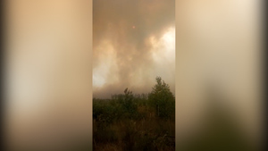 Плотная стена дыма: Лайф снял на видео эпицентр крупного лесного пожара в Рязани