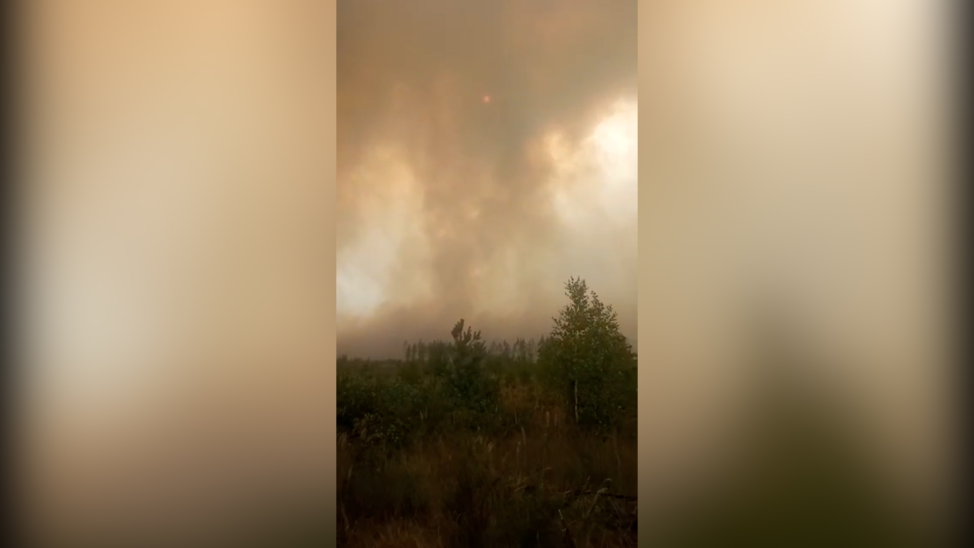 Плотная стена дыма: Лайф снял на видео эпицентр крупного лесного пожара в Рязани