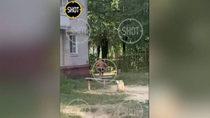 Что такое криминал