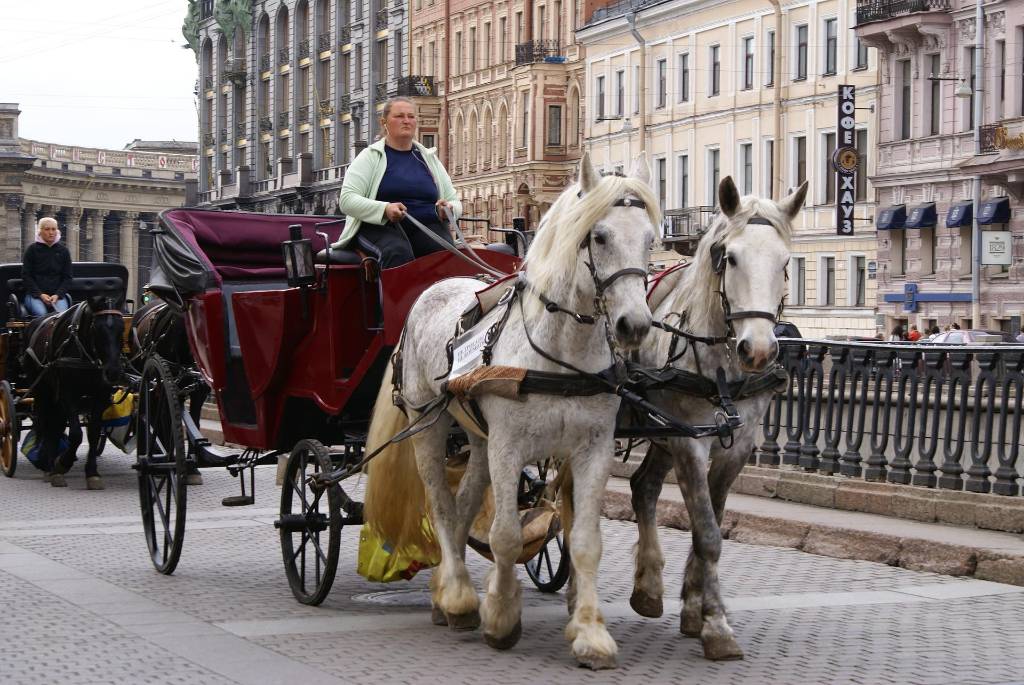 В Петербурге пообещали решить проблему с прогулками на лошадях в центре города