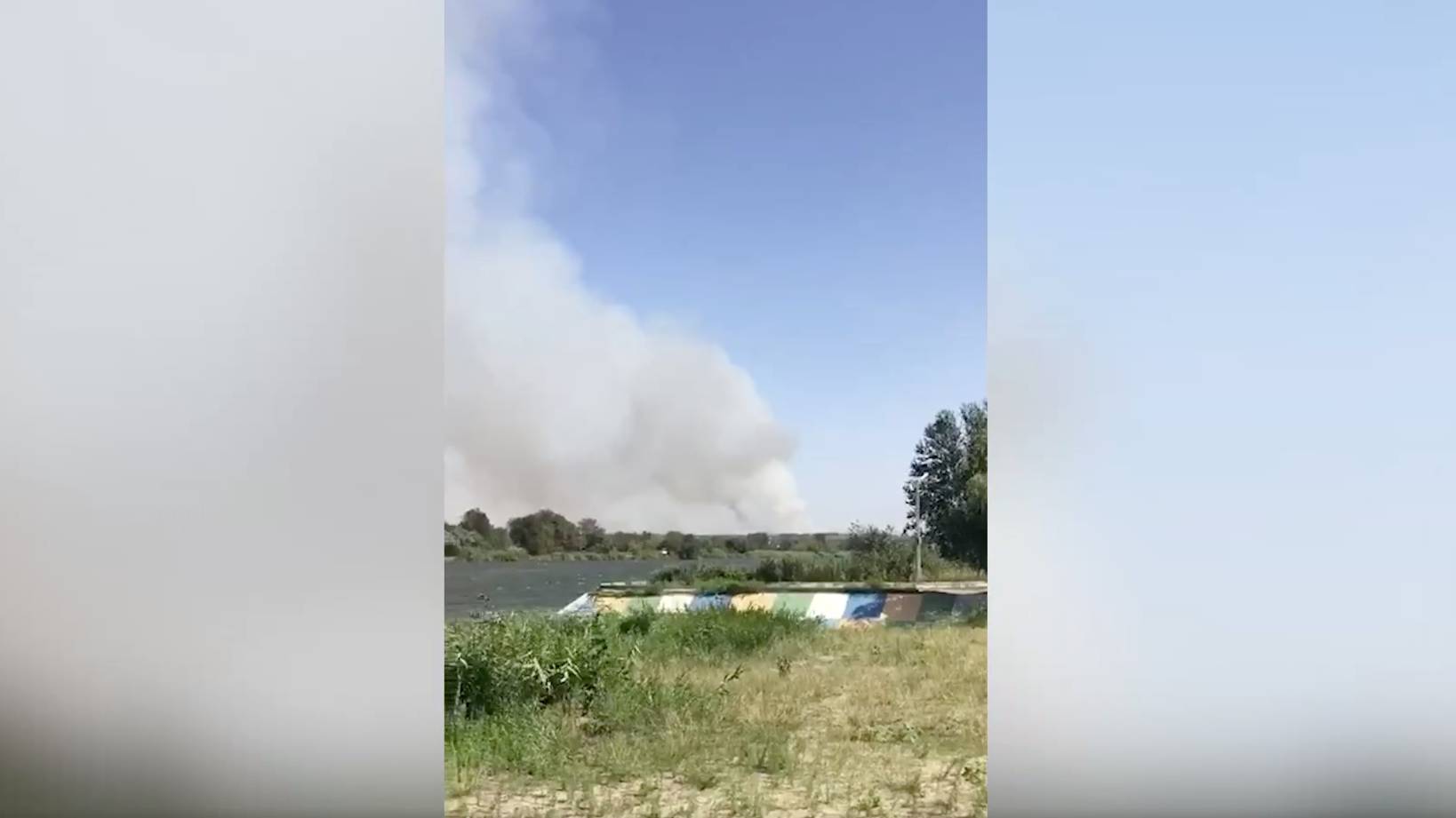 Спасатели потушили крупный лесной пожар в Каменском районе Ростовской области