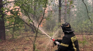 Пожар под Рязанью, смог от которого дошёл до Москвы, ликвидируют в течение двух недель