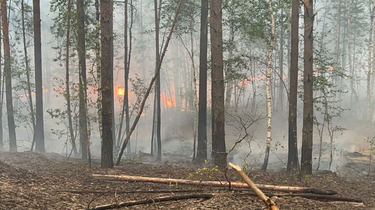 В Нижегородской области локализовали крупный лесной пожар