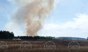 Огромный столб дыма: Очевидцы заметили лесной пожар в двадцати километрах от Москвы