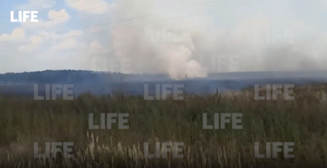 В Подмосковье полыхает лесной пожар, а Оку затянуло смогом