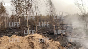 Выжженные пожаром рязанские леса — эксклюзивное видео Лайфа из эпицентра