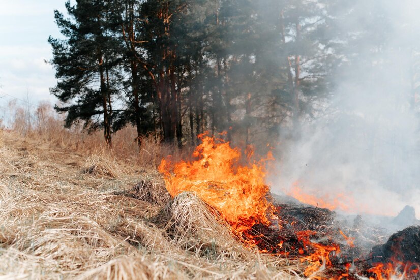 Ещё шесть населённых пунктов оказались в зоне риска из-за пожара в Рязанской области