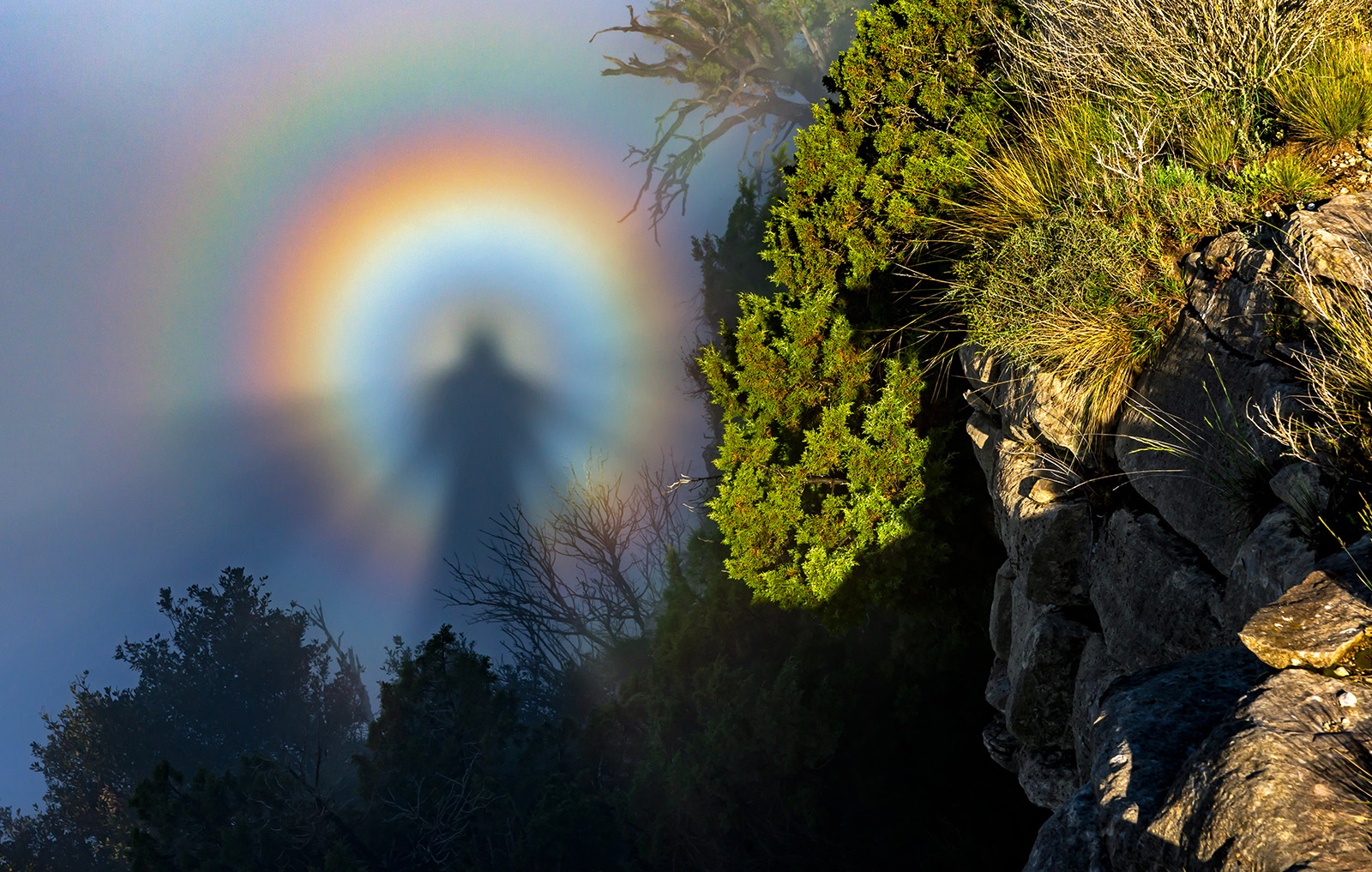 Снимок Броккенского призрака вошёл в шорт-лист конкурса метеорологического общества
