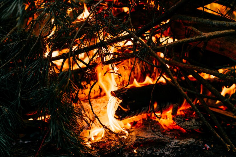 Площадь лесных пожаров в Рязанской области увеличилась до 19 тысяч га