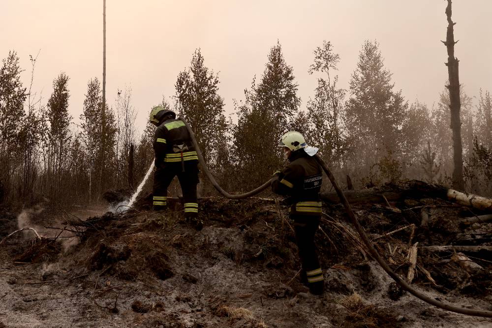 Крупный лесной пожар в Верхнедонском районе Ростовской области локализован