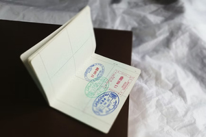Аналитик Гуреев предрёк сложности для россиян с получением шенгенских виз