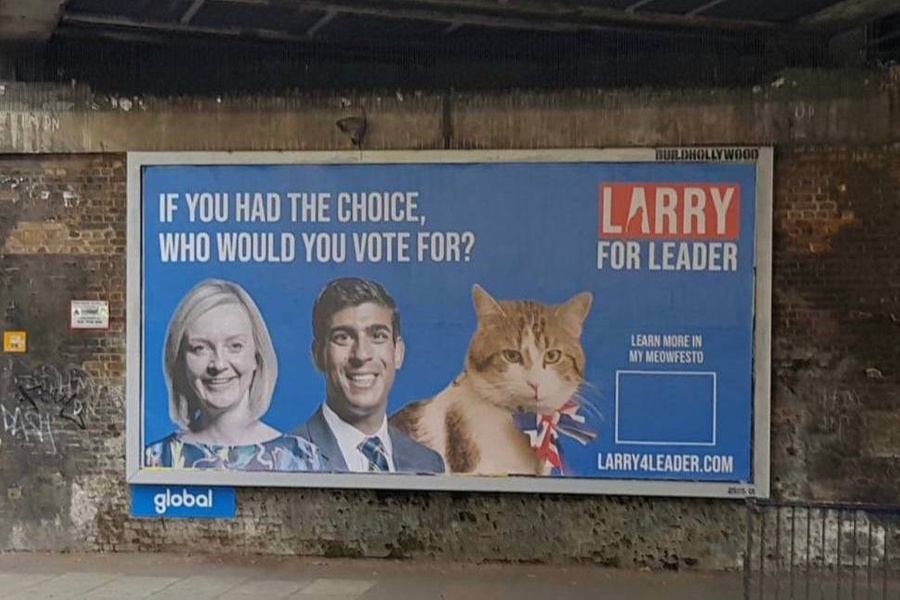 Предвыборный плакат с котом Ларри, Лиз Трасс и Риши Сунаком. Фото @ Telegram / Пул N 3