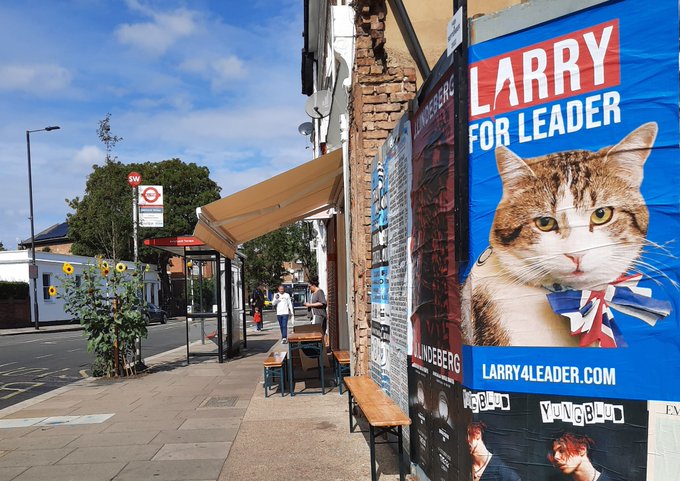 Плакаты предвыборной кампании кота Ларри из резиденции премьера Великобритании. Обложка © Twitter / @RubyTuesday_Ldn