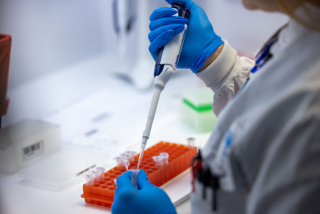 Микробиологи из корпорации AEGIS Sciences Corporation обрабатывают тесты на CoViD-19 и оспу обезьян. Фото © Getty Images / Nathan Posner / Anadolu Agency