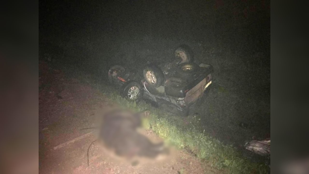 В Иркутской области водитель внедорожника сбил на трассе медведя и влетел под КамАЗ