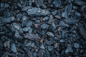 Страны ЕС с 10 августа должны прекратить закупать уголь в РФ, несмотря на энергокризис