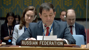 Полянский объяснил, почему Россия и Украина всё ещё далеки от переговоров