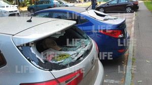 "Бормотал что-то про космос": Неадекват разбил стёкла десяткам припаркованных авто в Москве