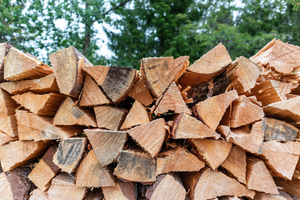 В Молдавии стремительно скупают дрова из-за энергетического кризиса