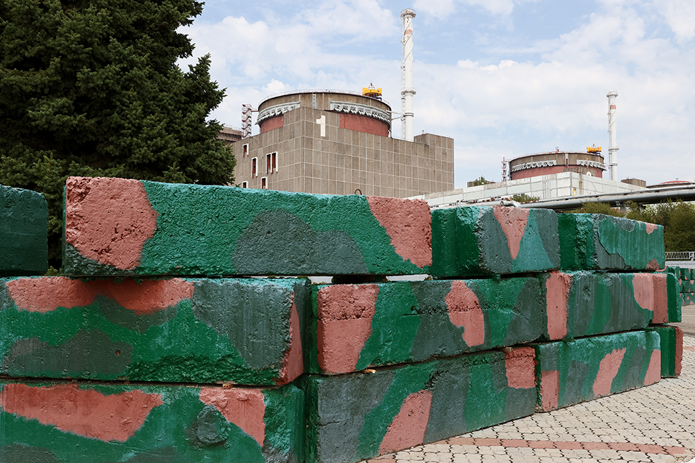 Вид на Запорожскую АЭС. Фото © ТАСС / Сергей Мальгавко
