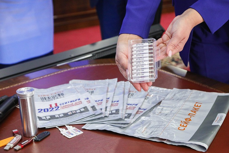 Явка на ДЭГ в ходе первого дня выборов в России росла без аномалий