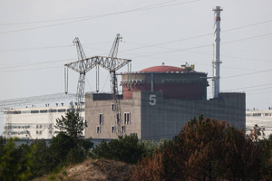 Власти Запорожья сообщили о переводе ЗАЭС на дизель-генераторы