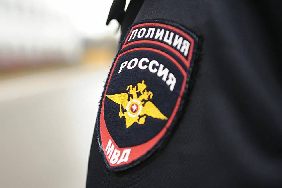 В МВД возбудили восемь уголовных дел, связанных с выборами в России