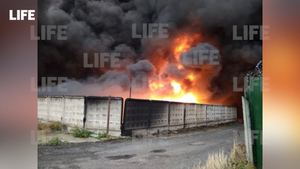 Пожар на складе в Подмосковье. Фото © LIFE