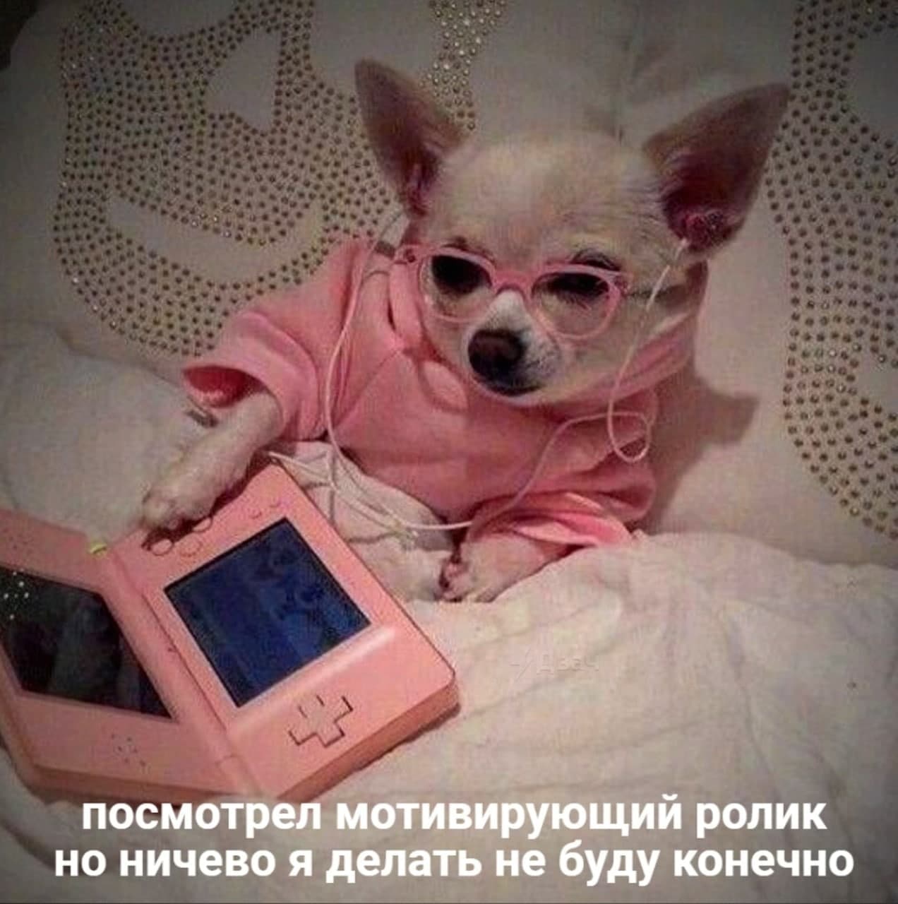 Фото © Twitter / RussianMemesLtd