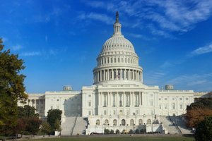 В Конгрессе США испугались катастрофы "как в Европе" по вине Байдена