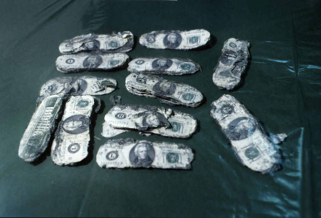Плохо разложившиеся 20-долларовые банкноты были показаны репортёрам 12 февраля после того, как проверка их серийных номеров показала, что они идентичны банкнотам, переданным угонщику Д.Б. Куперу 24 ноября 1971 года. Деньги были найдены Брайаном Ингрэмом, 8 лет, который искал дрова во время семейной прогулки со своими родителями, мистером и миссис Гарольд Дуэйн Ингрэм, Ванкувер, Вашингтон. Деньги были найдены на северном берегу реки Колумбии, частично зарытыми в песок. Фото © Getty Images / Bettmann