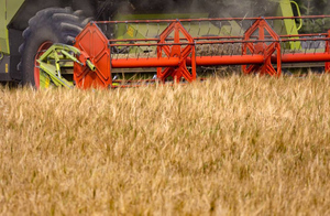 Путин: В беднейшие страны мира было отправлено менее 5% вывезенного с Украины зерна