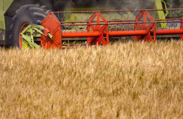 Путин: В беднейшие страны мира было отправлено менее 5% вывезенного с Украины зерна