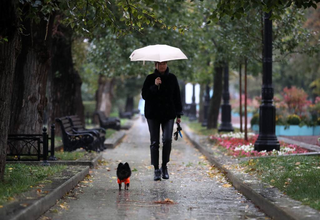 Москвичам рассказали, какой погоды ждать на грядущей неделе