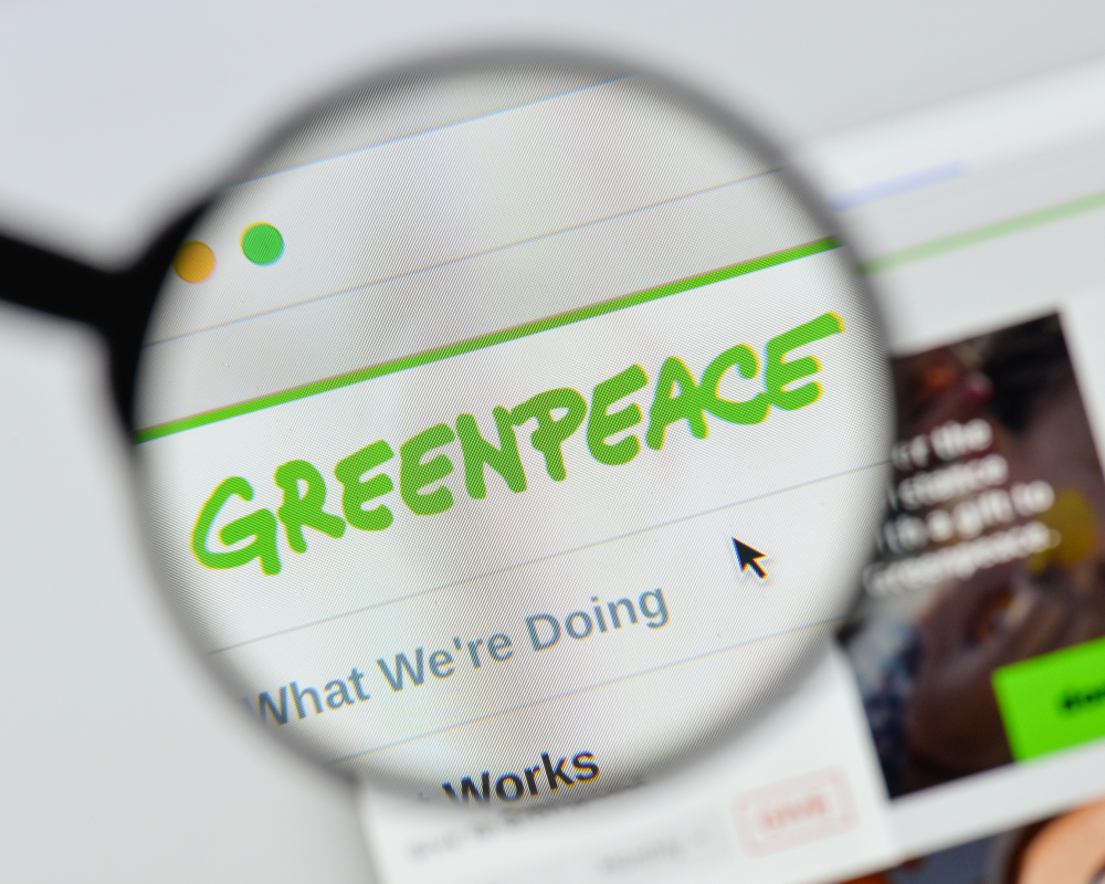 В России предложили создать аналоги Greenpeace и WWF из-за их сомнительной деятельности