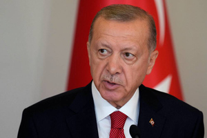 Эрдоган заявил, что сохраняет надежду на личную встречу Путина и Зеленского