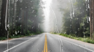 Правила вождения во время дождя: Советы эксперта