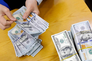 Финансист Зельцер озвучил выгодный для России курс доллара