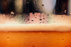 Учёные допустили, что пиво может снизить риск деменции