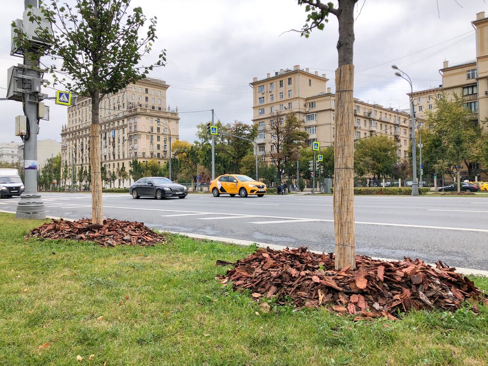 В Москве временно перекроют несколько центральных улиц
