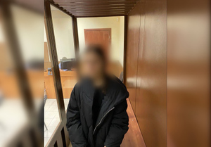 Орудовала ножом и сковородкой: Прокуратура раскрыла новые детали убийства москвича 16-летней правнучкой