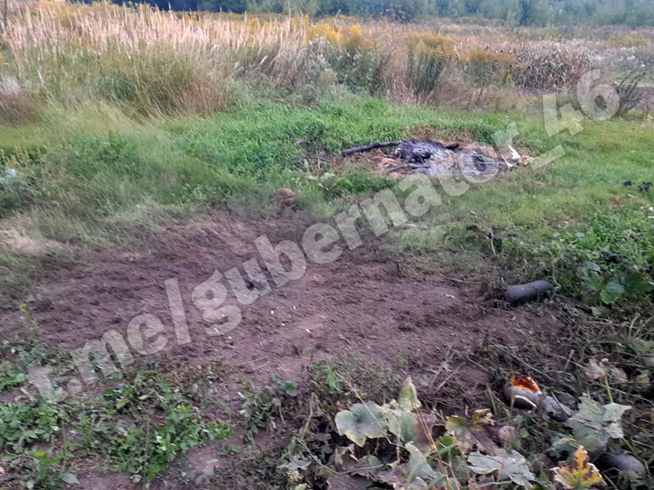 Опубликованы фото с последствиями удара ВСУ по посёлку в Курской области