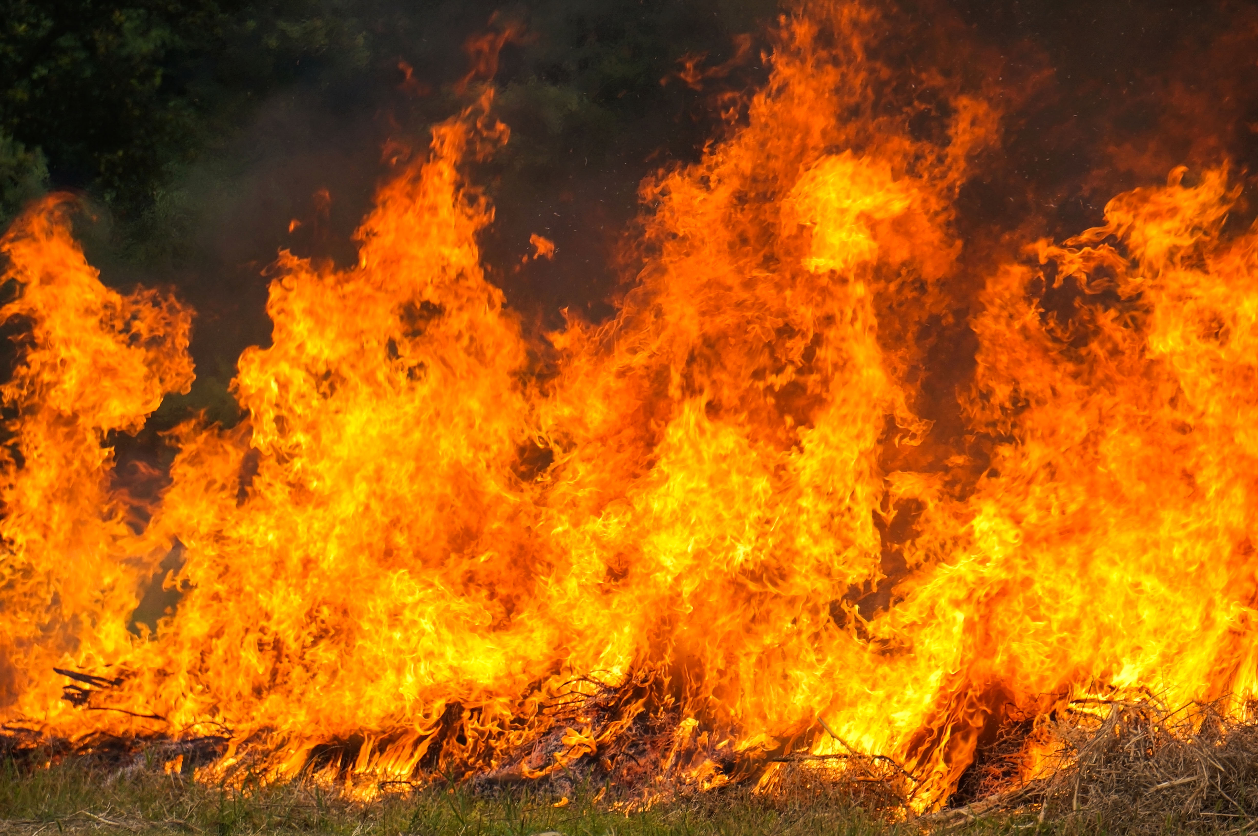 В МЧС Казахстана назвали возможную причину лесных пожаров
