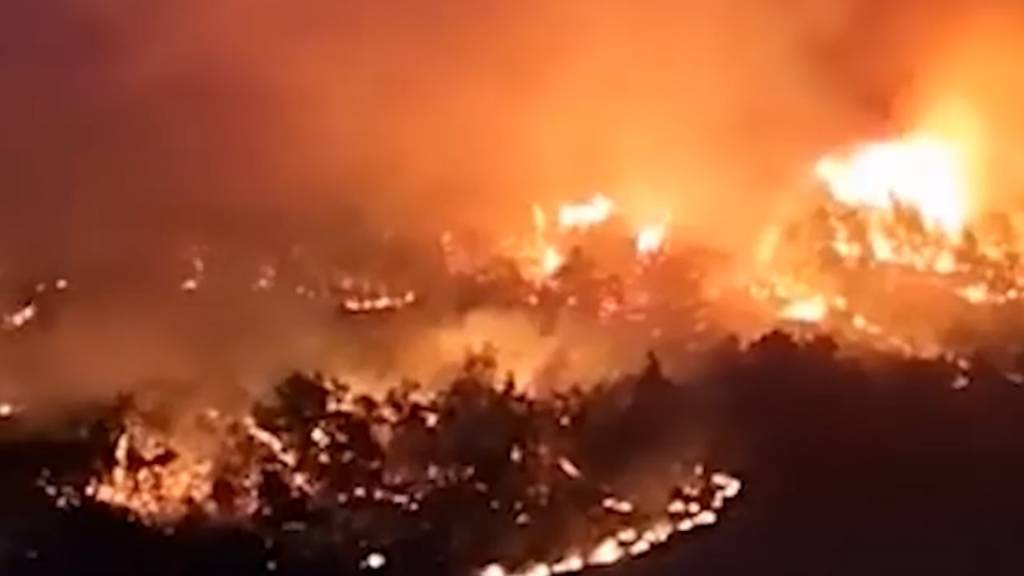 В пригородах Тбилиси вспыхнули лесные пожары