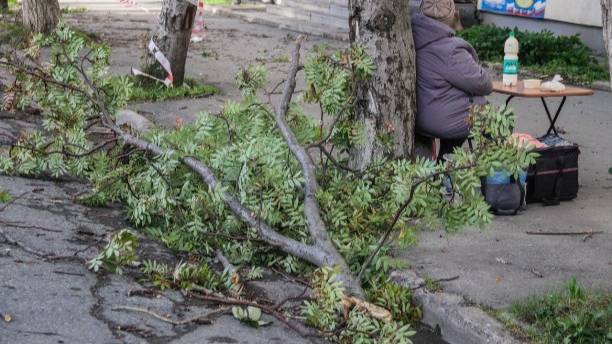 Последствия удара тайфуна "Хиннамнор" по Сахалину. Фото © Astv