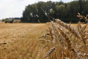 Экономист Клопенко предрёк Украине голод зимой из-за "продуктовой сделки"