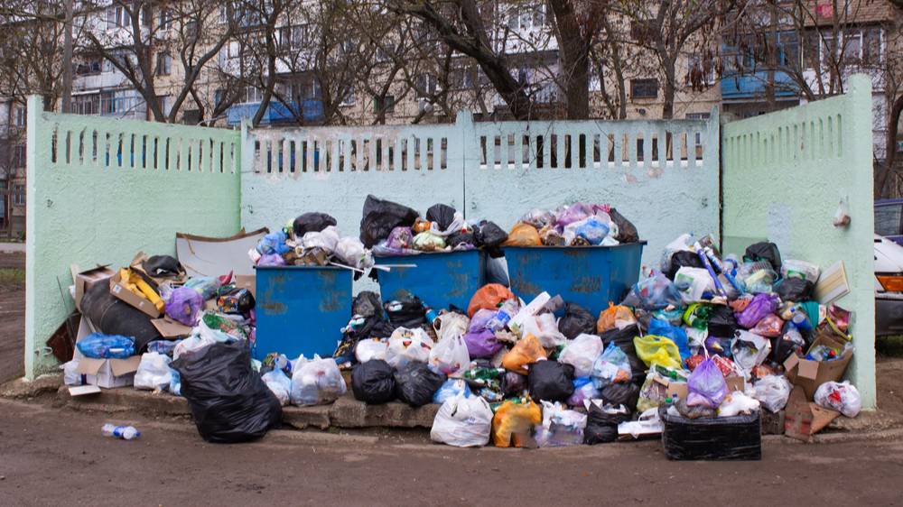 Более 350 жалоб на мусор из 57 регионов России поступило за новогодние праздники