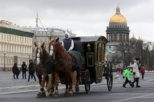 Катание на каретах с лошадьми в Петербурге предложили узаконить